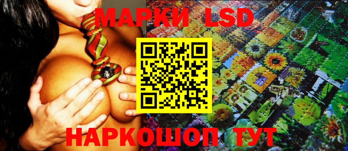 Наркотические марки 1500мкг  Марки N-bome  Вологда  Вход с VPN 