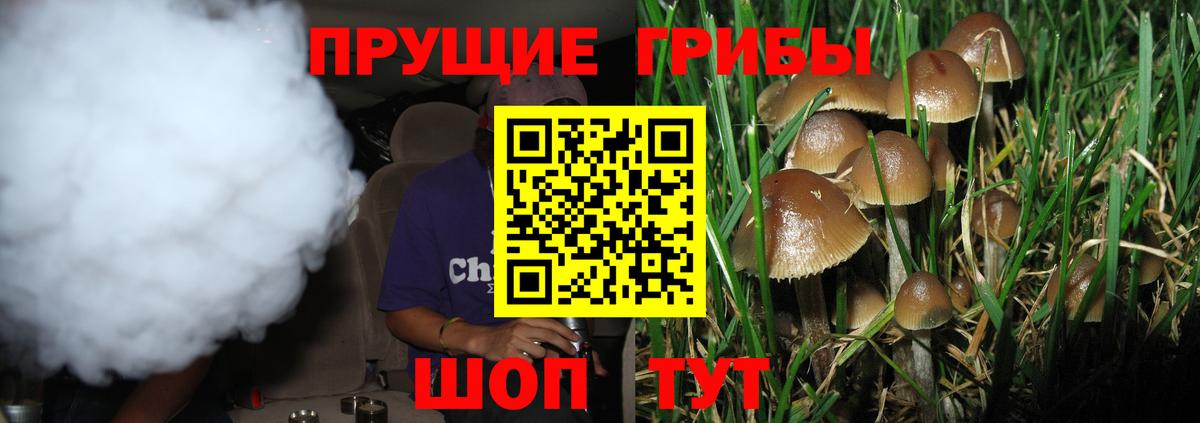 Вологда  Псилоцибиновые грибы мухоморы  Вход с VPN 